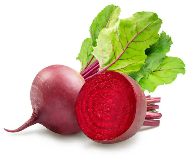 Organic Beetroot Powder & Betaine Nitrates (Beta vulgaris)