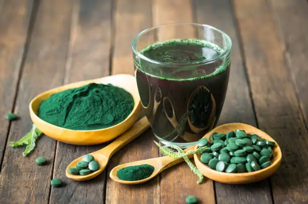 Chlorella Algae